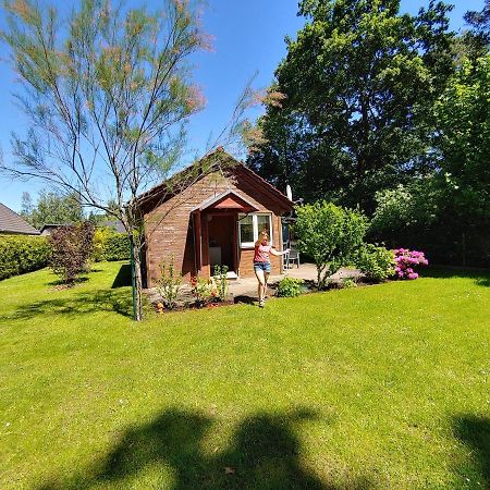 Ferienhaus Eschenallee Villa Wendisch Rietz Eksteriør billede